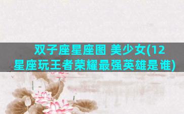 双子座星座图 美少女(12星座玩王者荣耀最强英雄是谁)